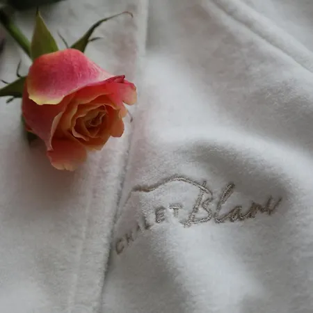 Chalet Blanc Cervinia Bed & Breakfast