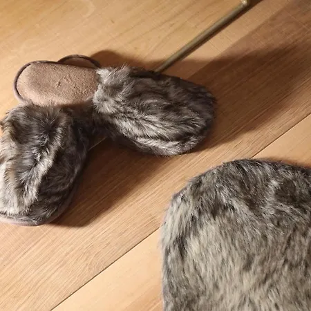 Blanc Cervinia לינה וארוחת בוקר ברויל-קרוויניה