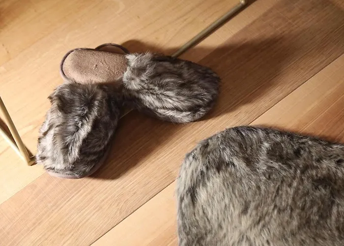 Blanc Cervinia 住宿加早餐酒店 布勒伊-切尔维尼亚